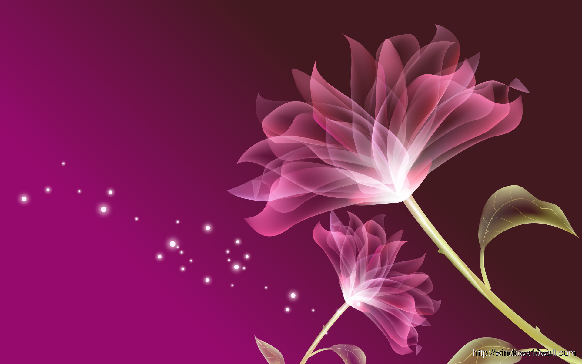 Cg Pink Flower Free Wallpapers 2013 Free Download