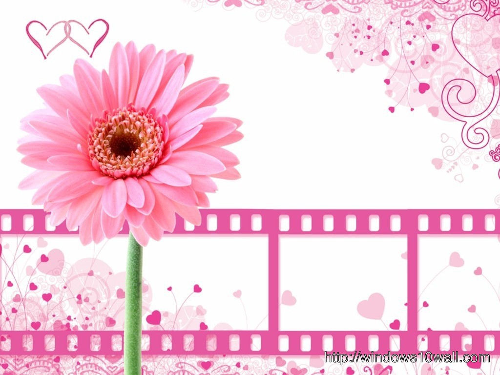 Pink Flower Movie Art Wallpaper Backgrounds