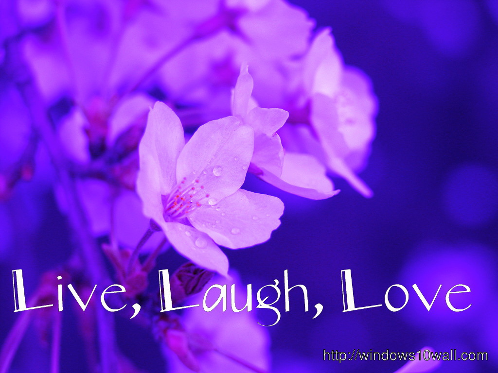 Free Live, Laugh, Love Wallpaper Download