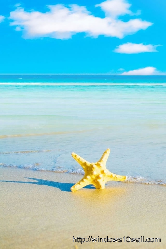 Star Fish Beach iPhone HD Background Wallpaper