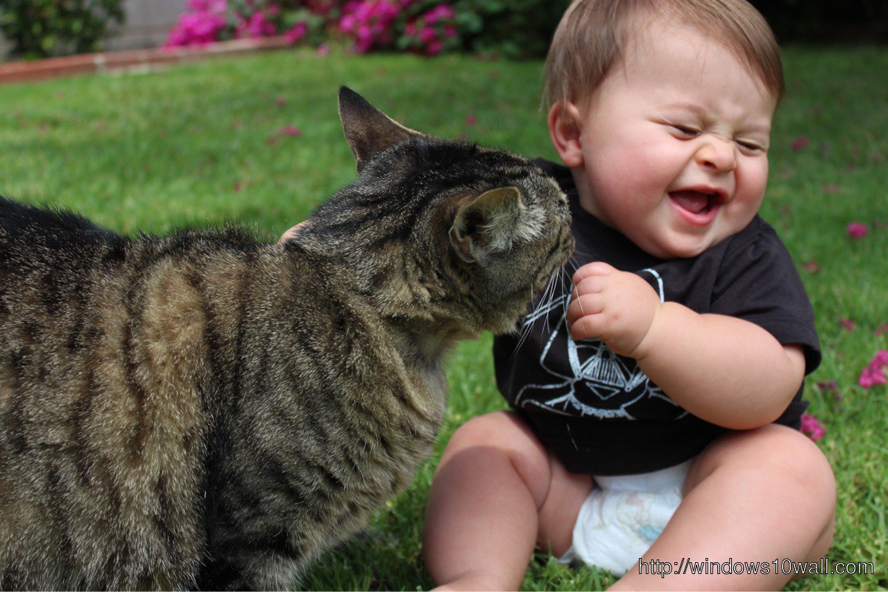 Cute Baby Playing with Cat Wallpaper
