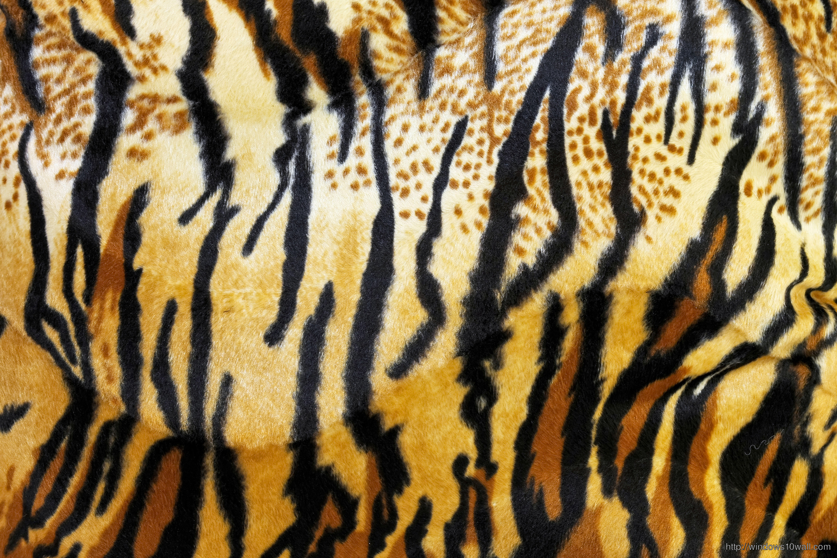 Animal Print Tiger Wallpaper Free Download
