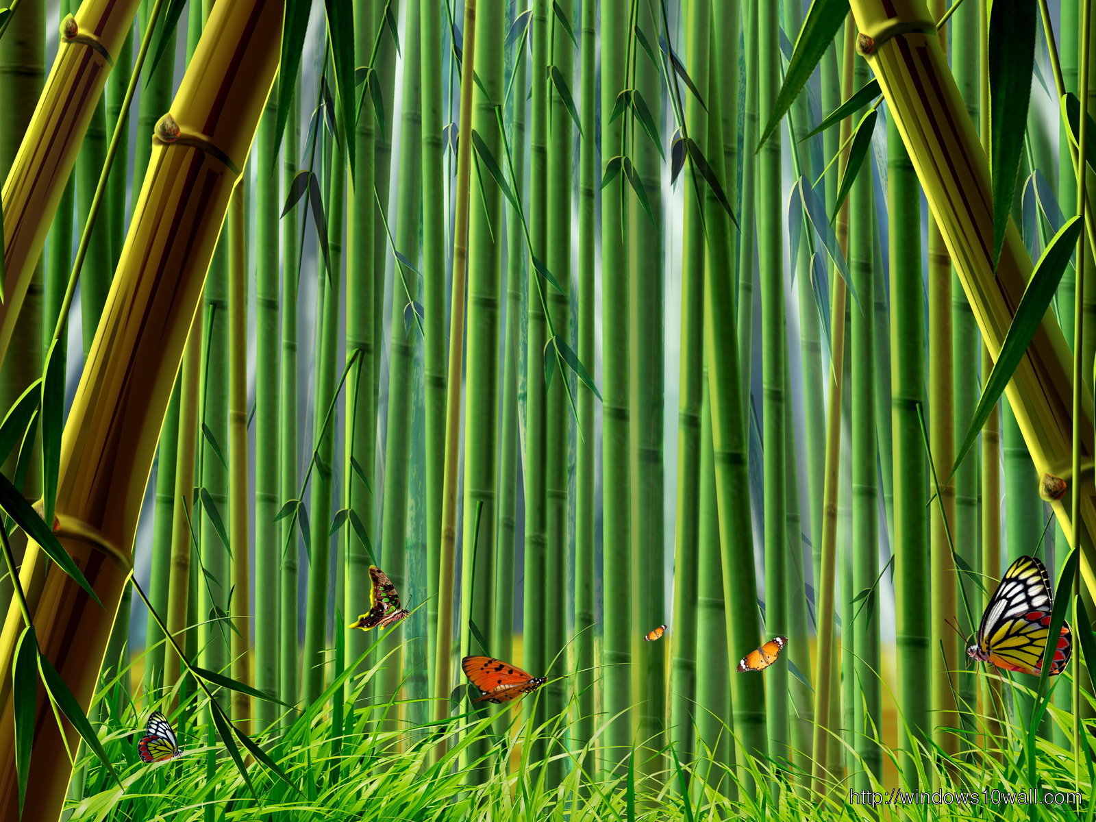 Natural Green Bamboo Background Wallpaper