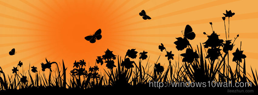 Floral and Sunrise Facebook Timeline Background Cover