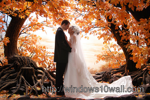 Fall Wedding Photo Ideas Background Wallpaper