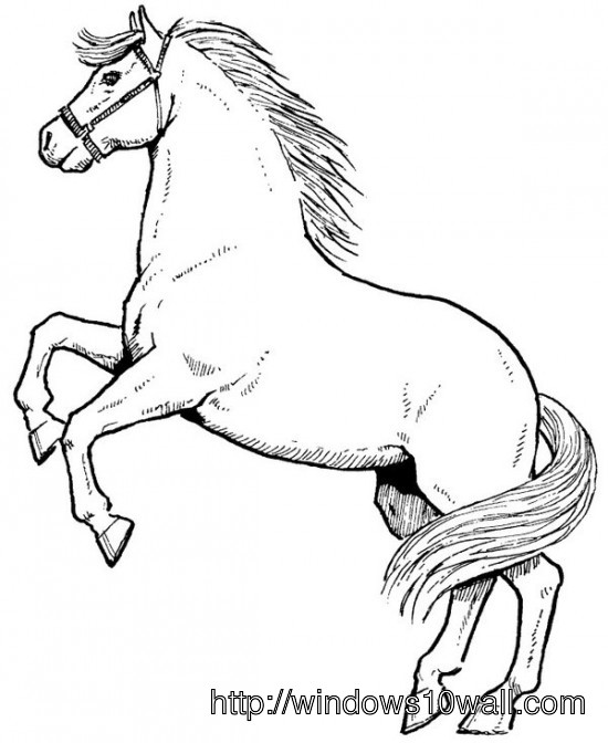 Horse Coloring Page for Kids Wallpaper