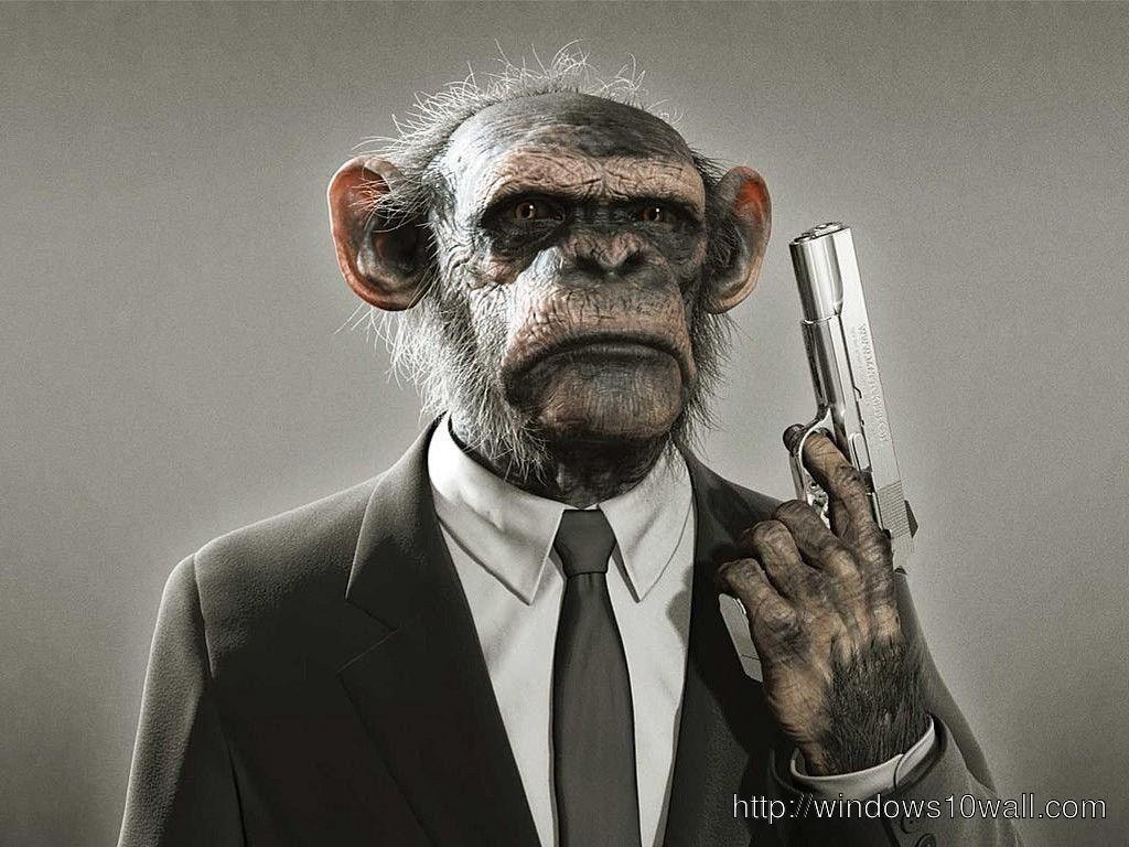 Funny Monkey Picture with Gun Wallpaper
