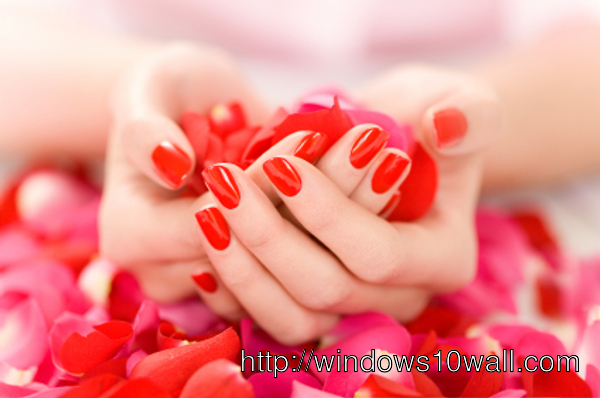 Picture of Hands with Roses Background Wallpaper