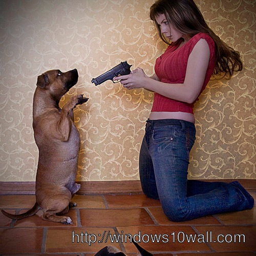Funny Dog and Girl with Gun Make You Laugh Out Loud Wallpaper