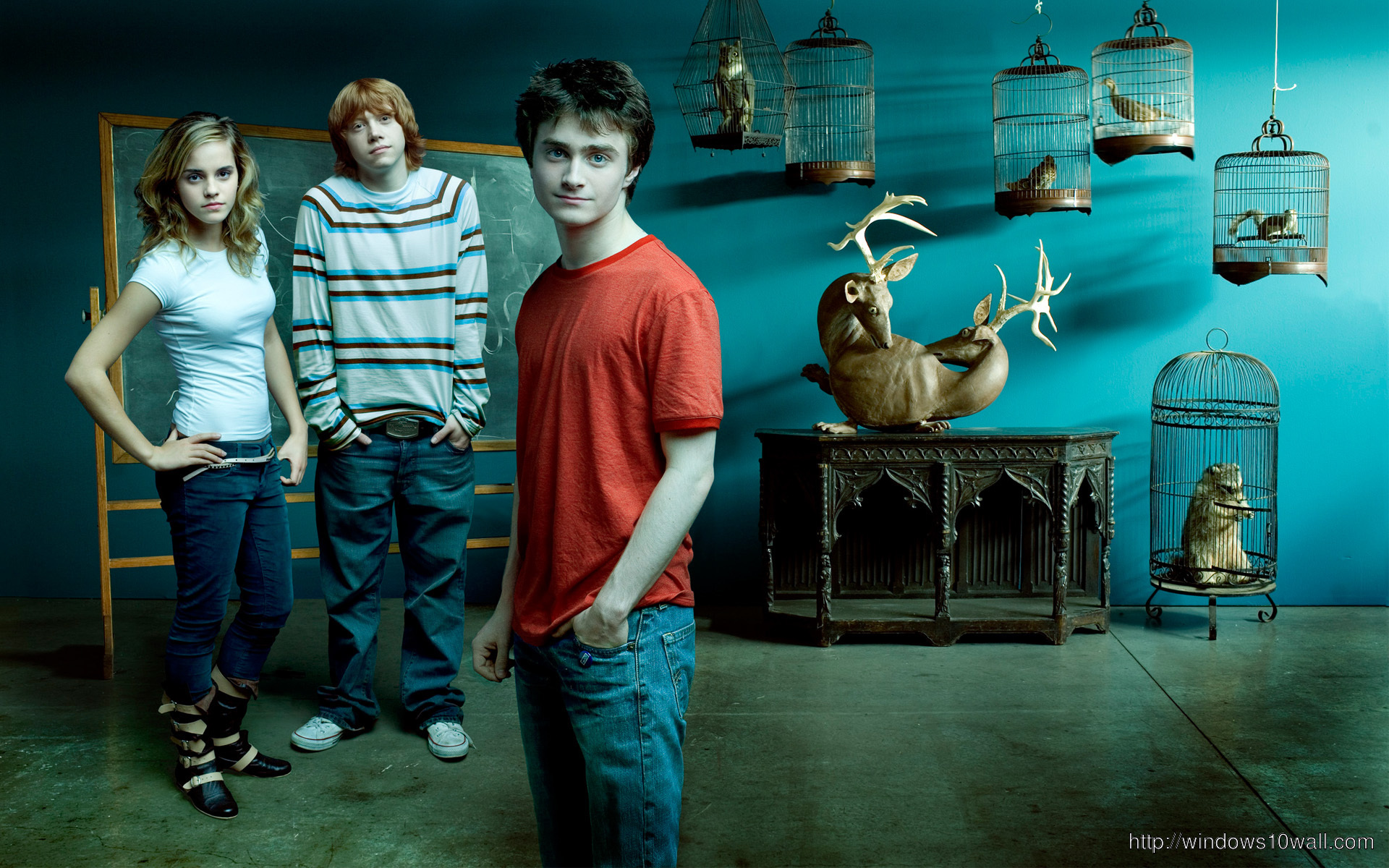 Harry Potter Hd Download Wallpaper