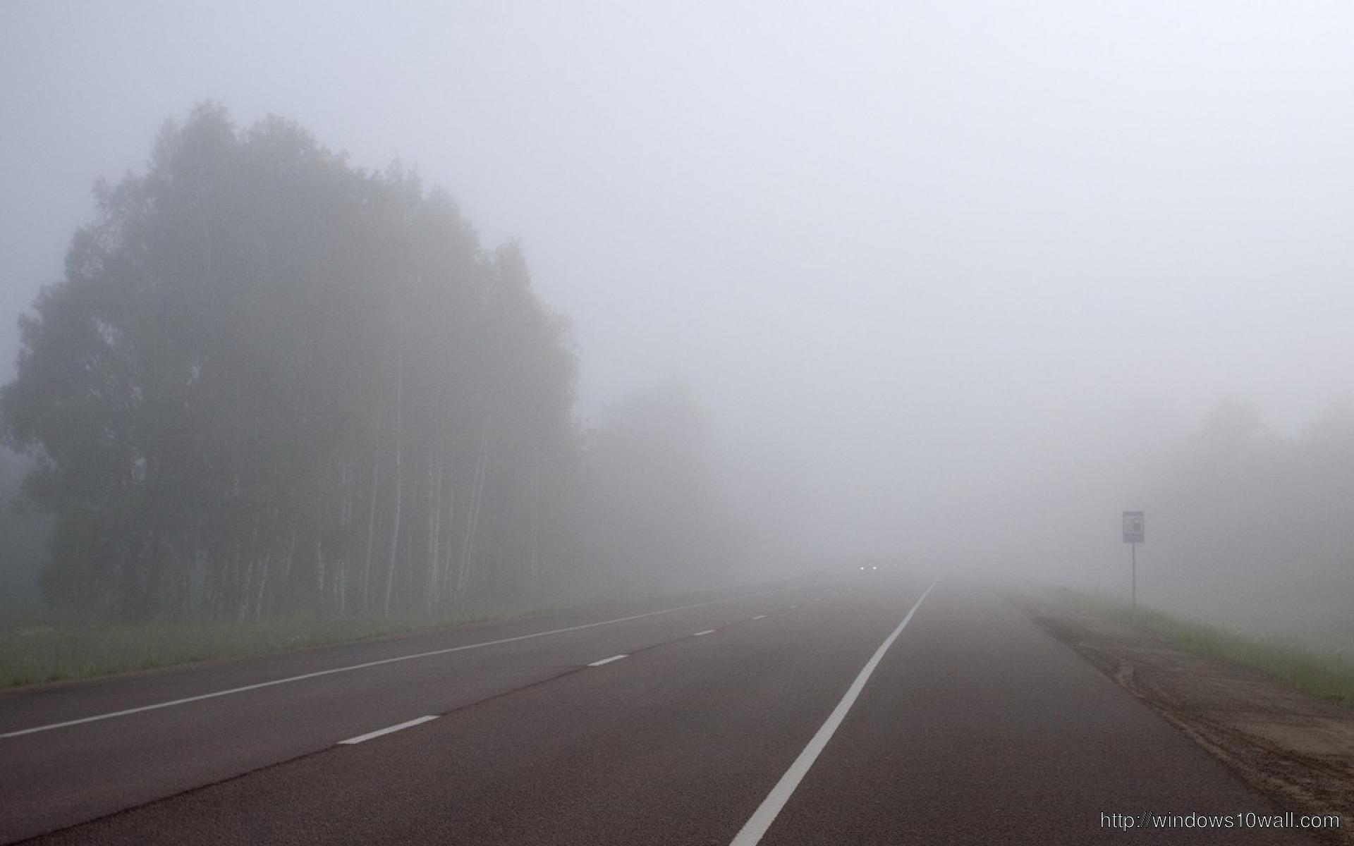 Mist Fog Road Nature HD Download Wallpaper