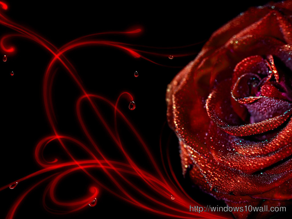Abstract Art Design Roses