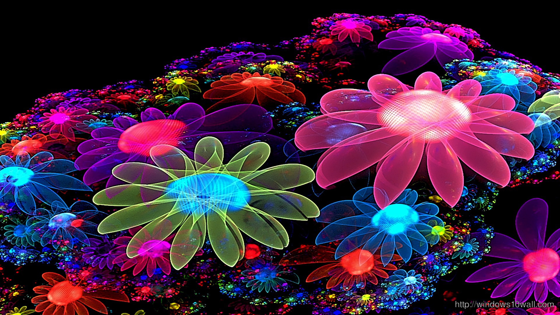 Animated Cool Colorful Flowers Desktop Wallpaper