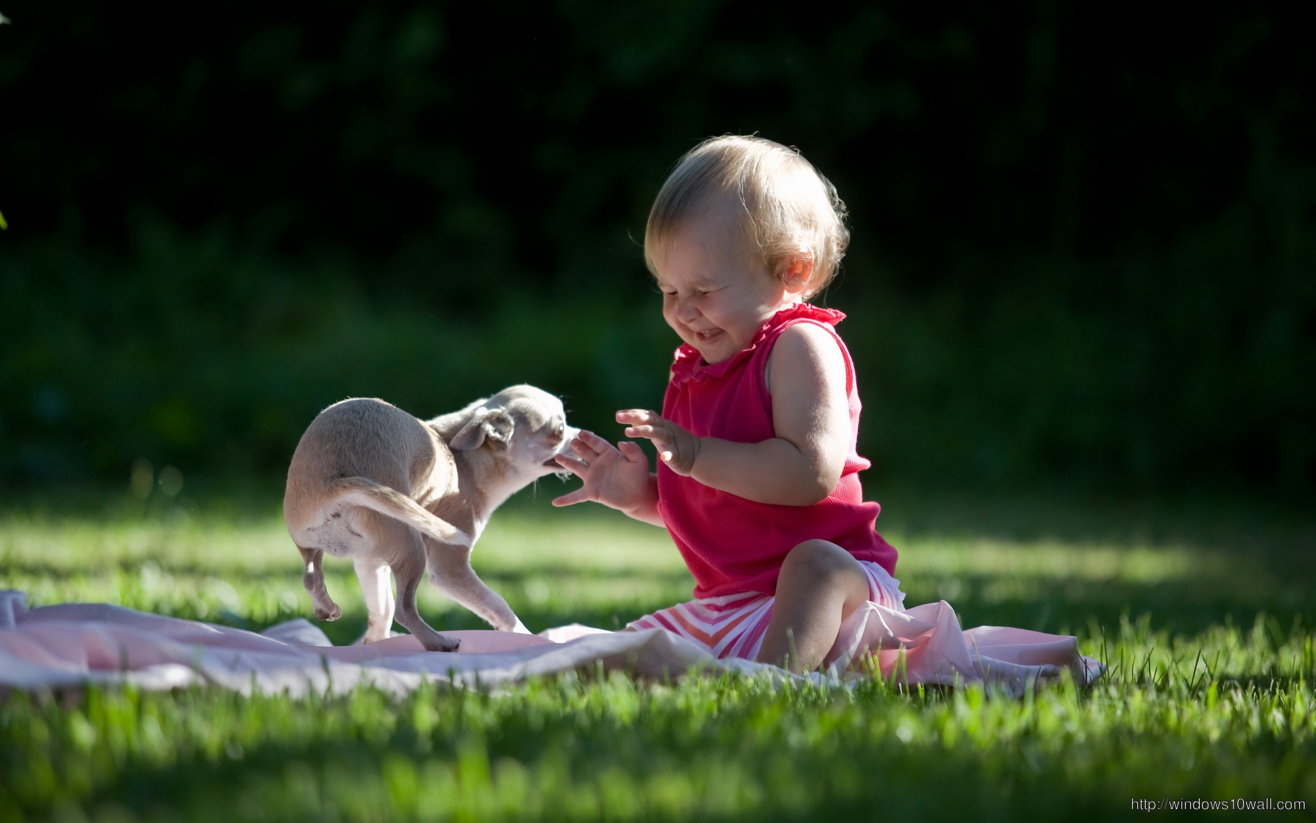 Baby Play With Dog Wallpaper