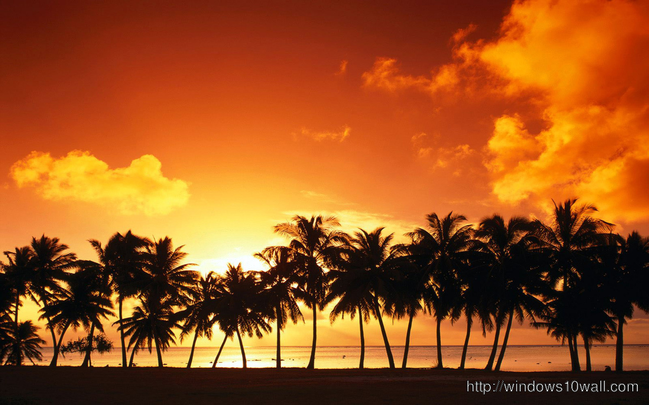 Beautiful Beach Sunset With Trees Wallpaper