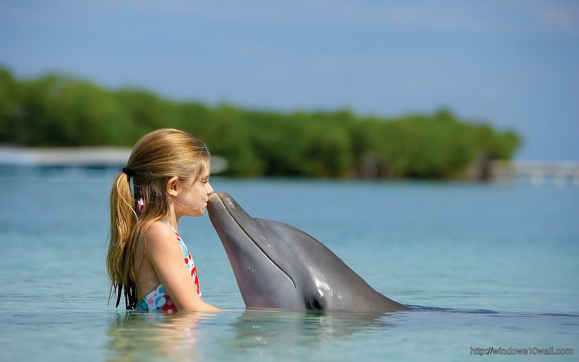 Dolphin And Girl Wallpaper