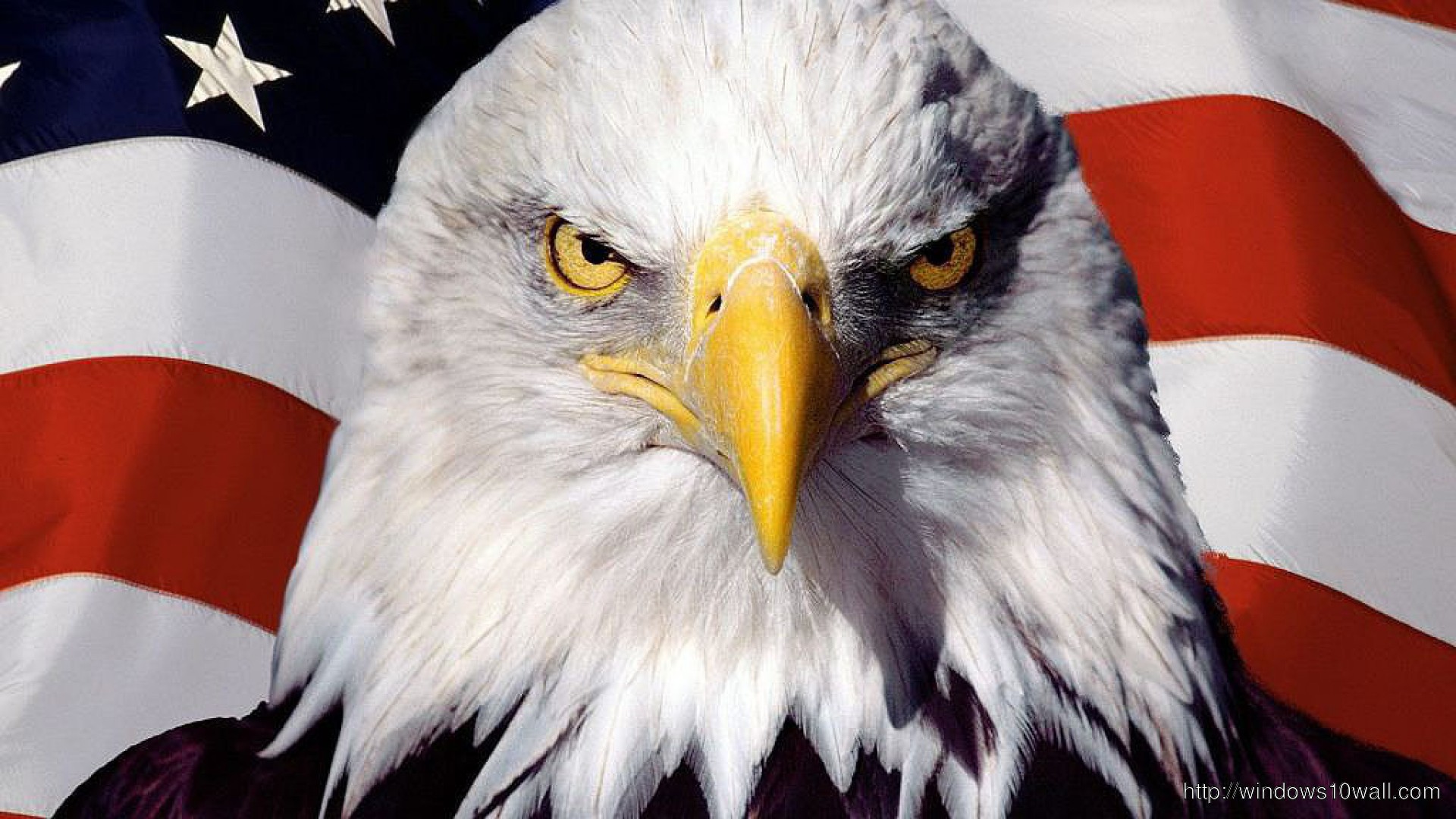 Eagle Bird On Flag Wallpaper