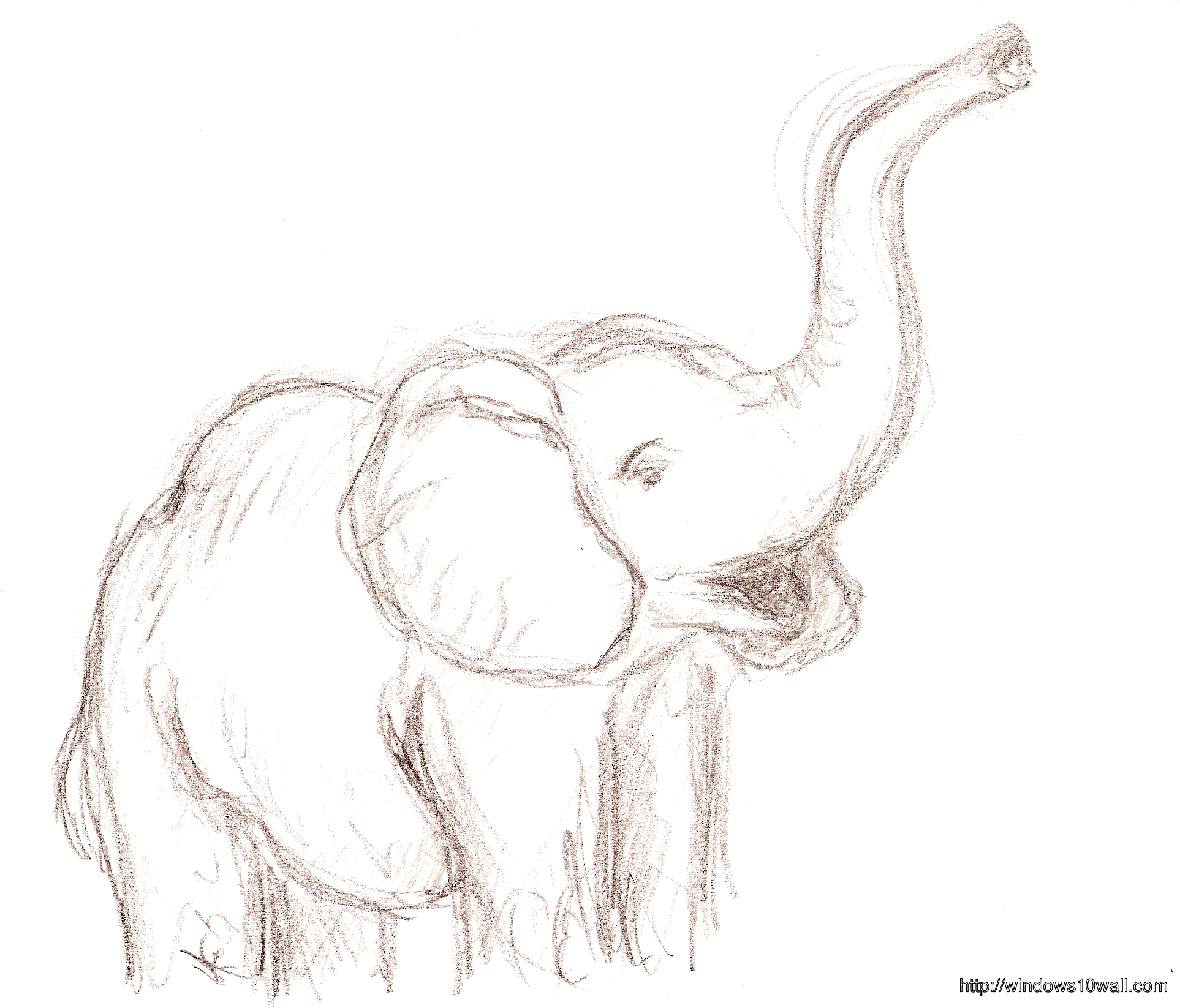 Elephant Drawings Ideas Wallpaper