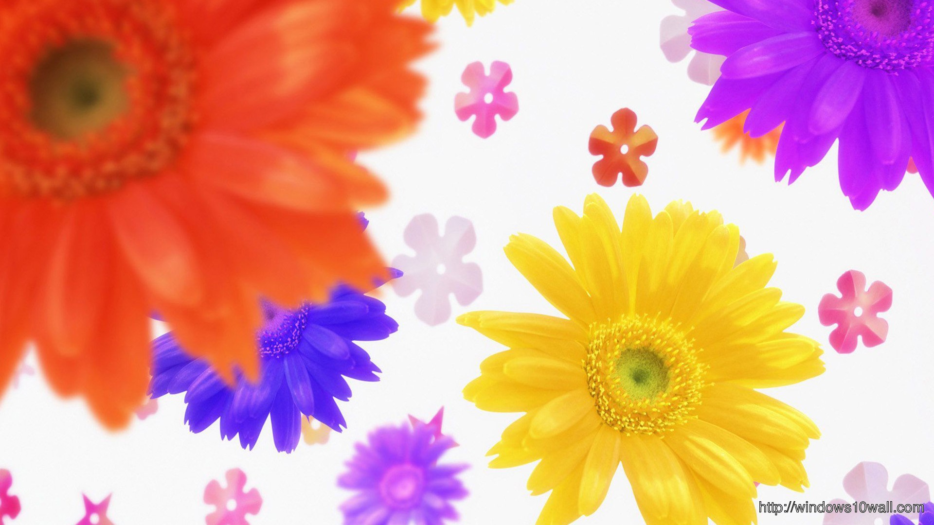 Flowers Colorful Background Wallpaper