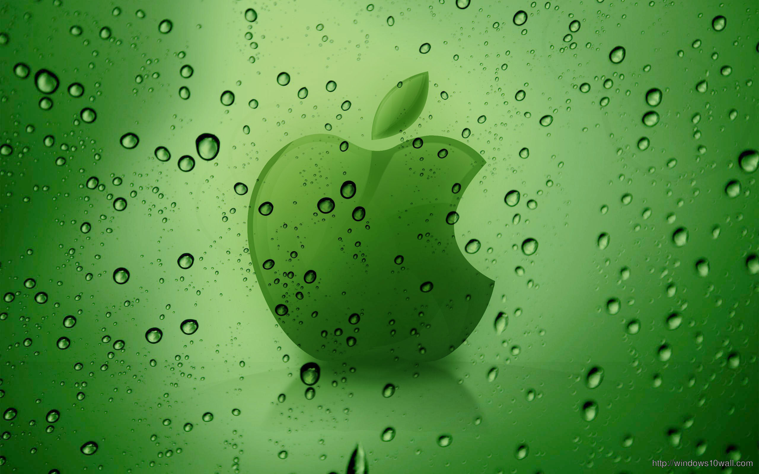Fresh Green Apple Wallpaper