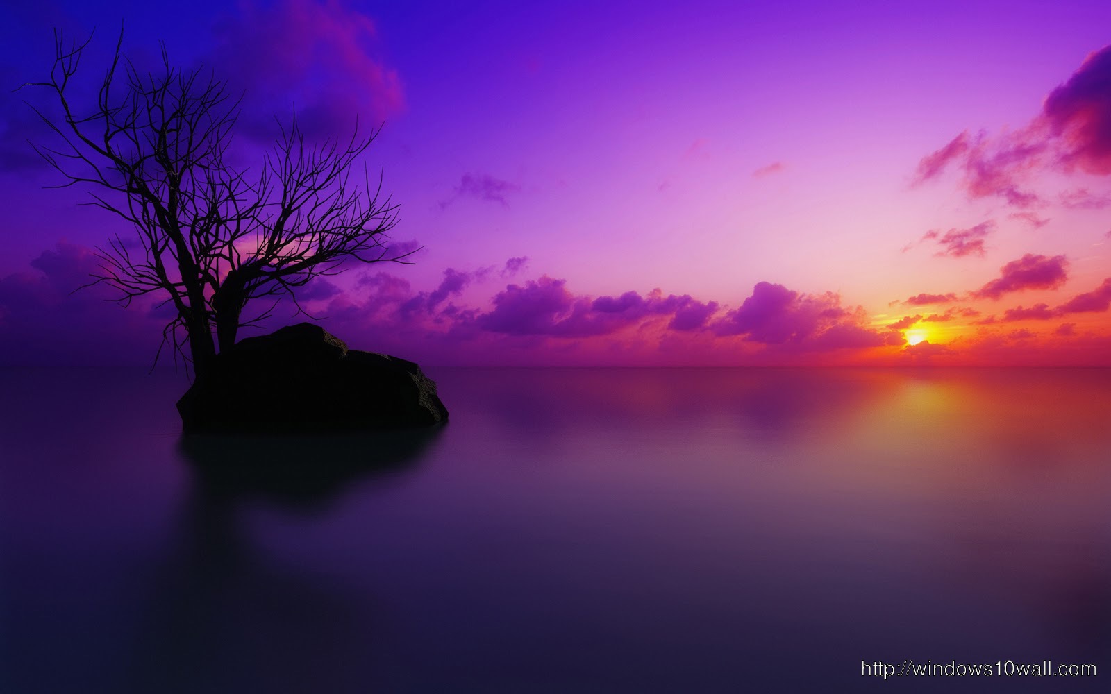Purple Beach Sunset Wallpaper Background
