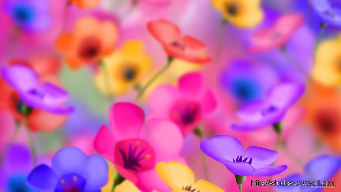 So Beautiful Colorful flowers Desktop Wallpaper