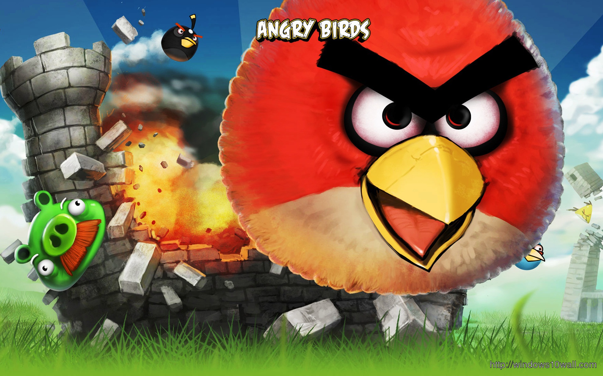 Angry Birds Nice Wallpaper