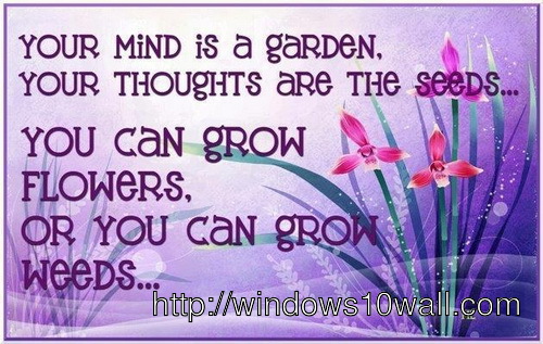 inspirational-quotes-for-student-like-garden-and-seeds-wallpaper