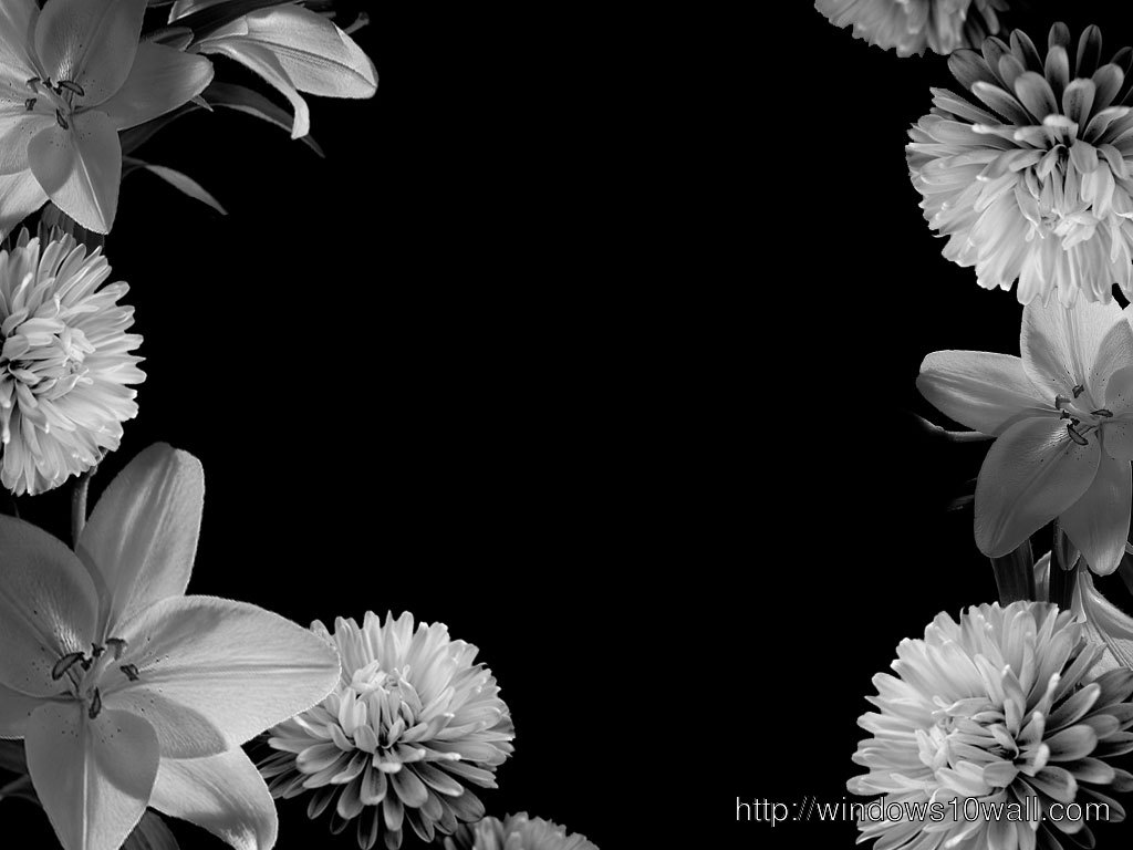 sweet black white flowers design Wallpaper