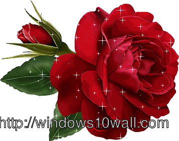 Beautiful Animated Rose Background Wallpaper