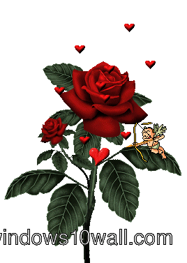 Animated Red Rose with green leafs Background Wallpaper