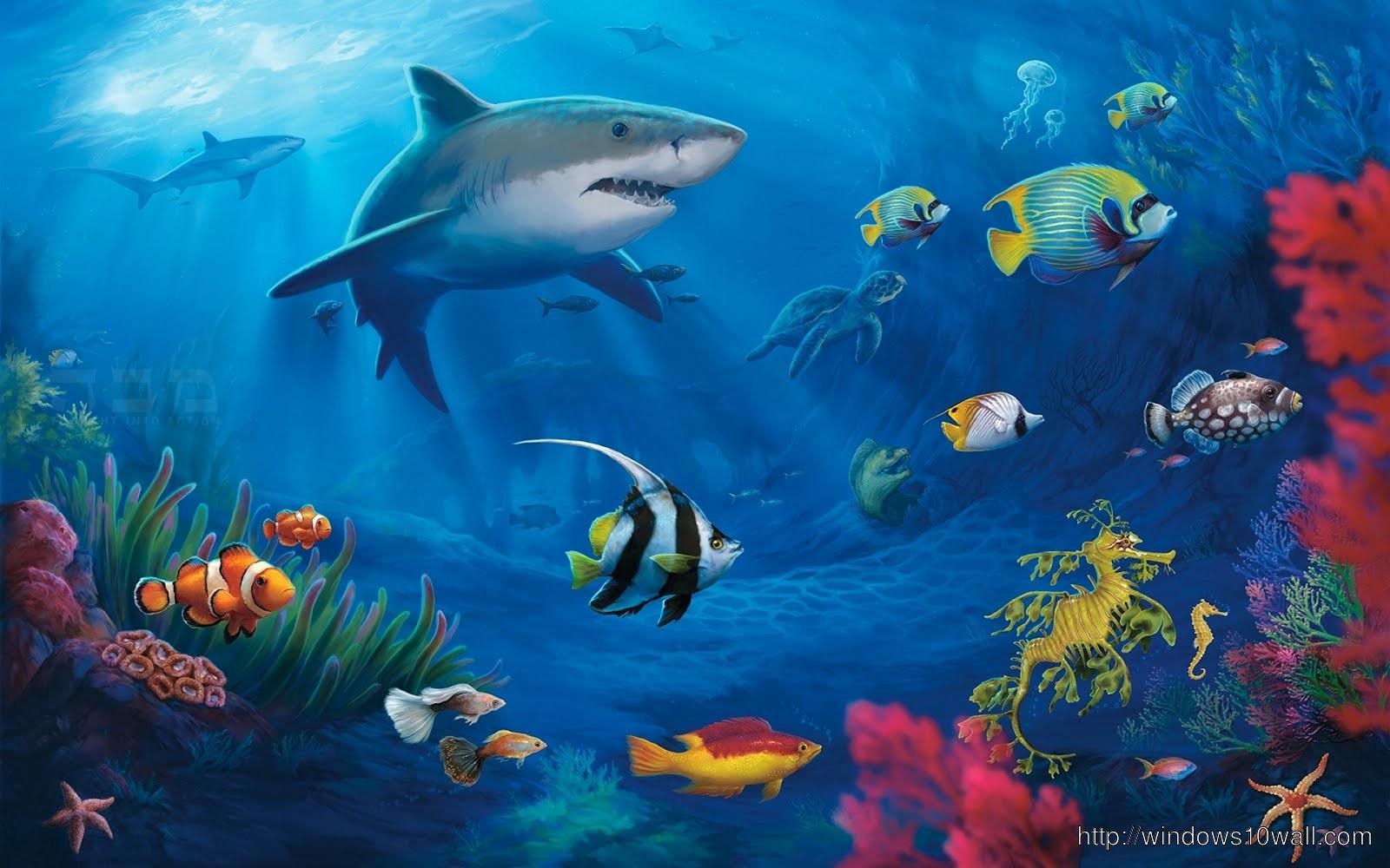 Sea underwater world live iphone wallpaper