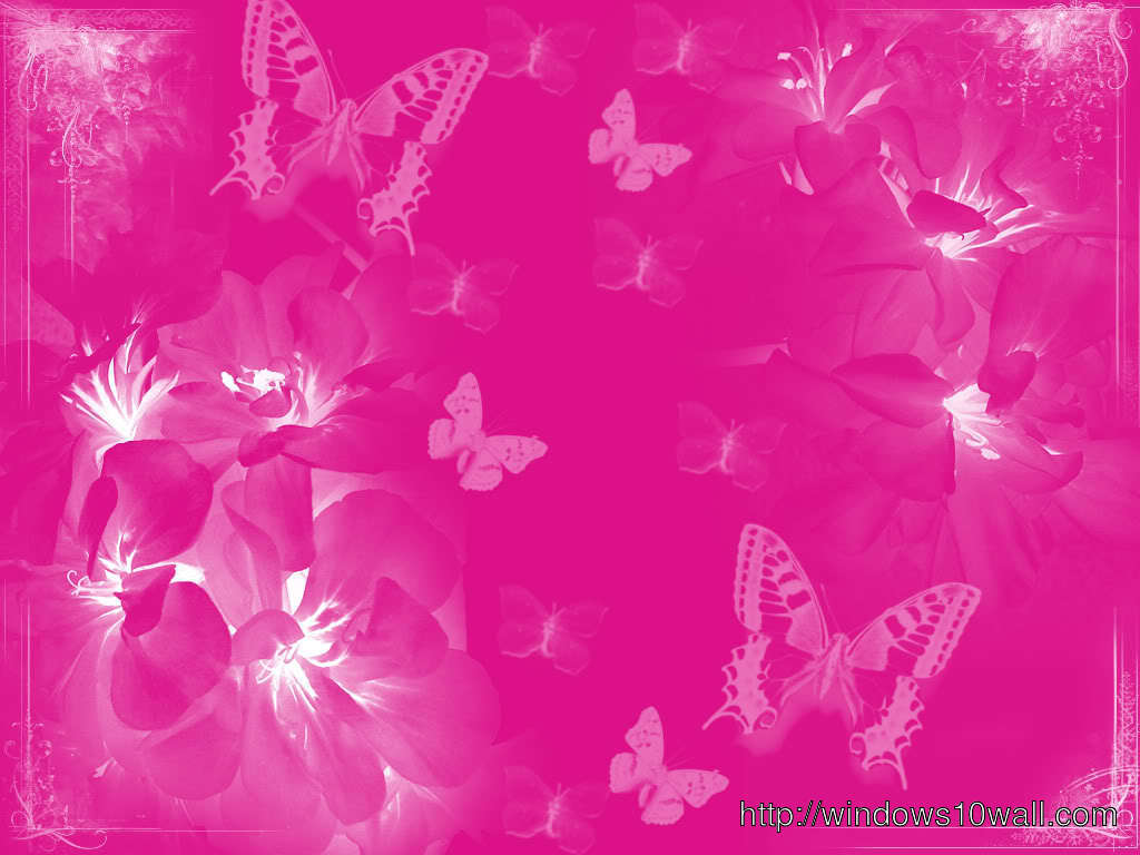 Pink  color Wallpaper free