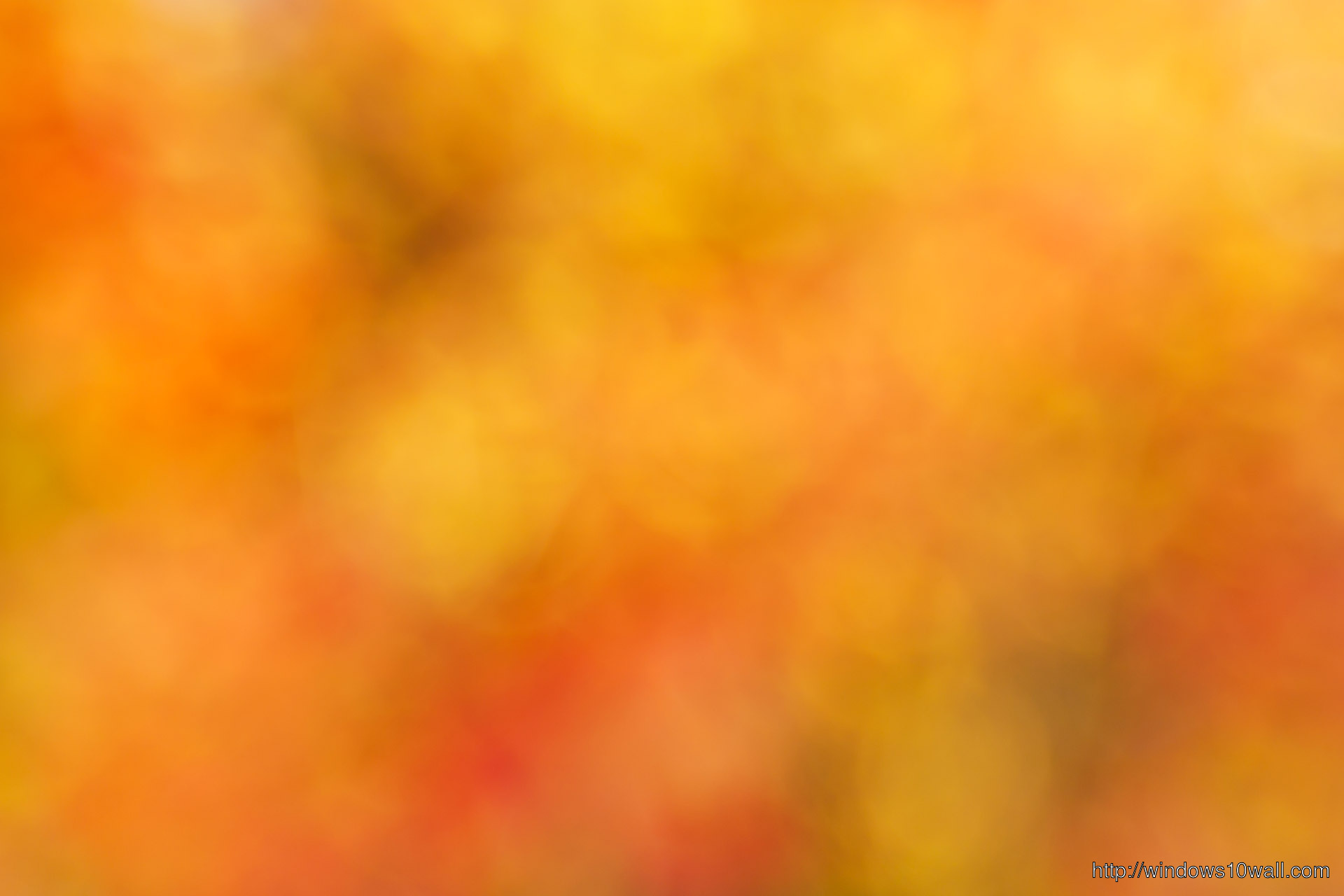 Orange Blurred Background Free Stock Photo HD - Public Domain Pictures