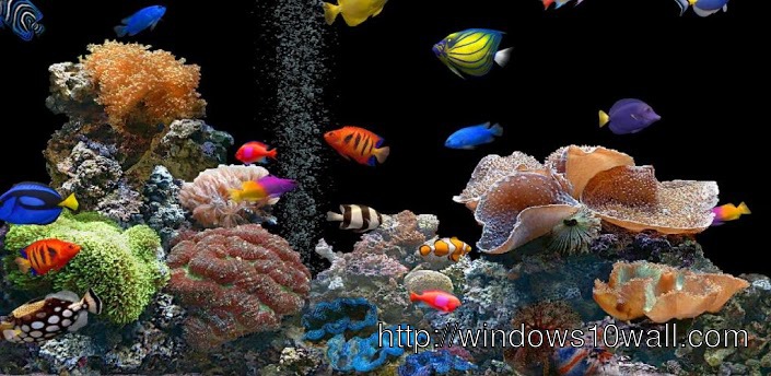 Cool 3D aquarium Live Wallpaper HD with cute fishes
