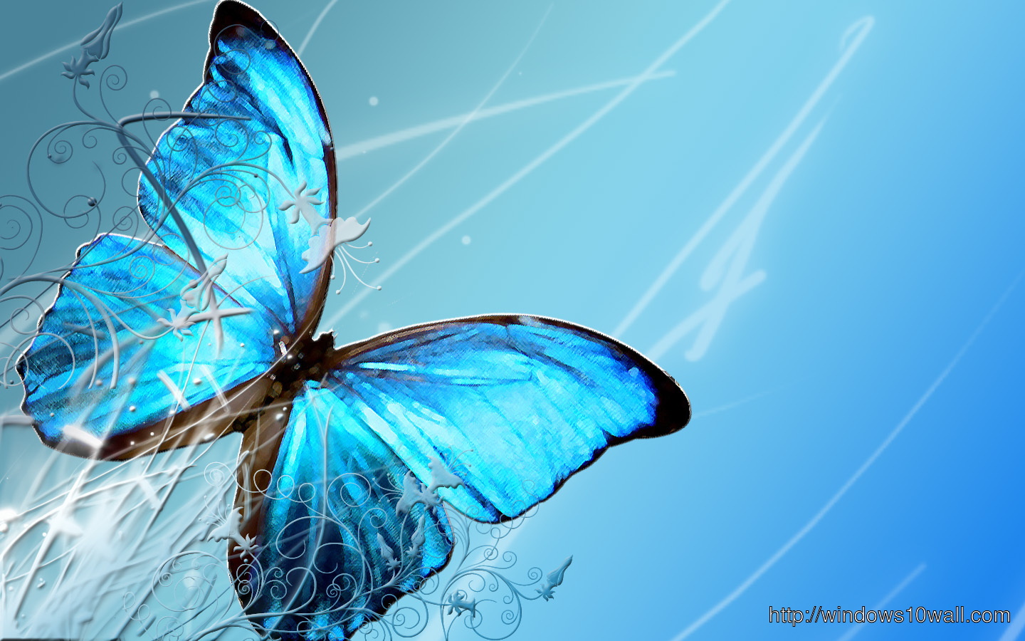 butterfly backgrounds - windows 10 Wallpapers