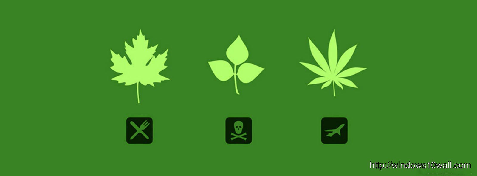 Happy Greeny Facebook Timeline Background Cover