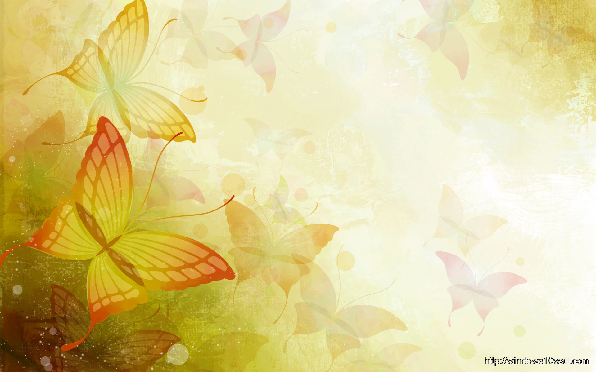 Floral Butterfly Background Wallpaper