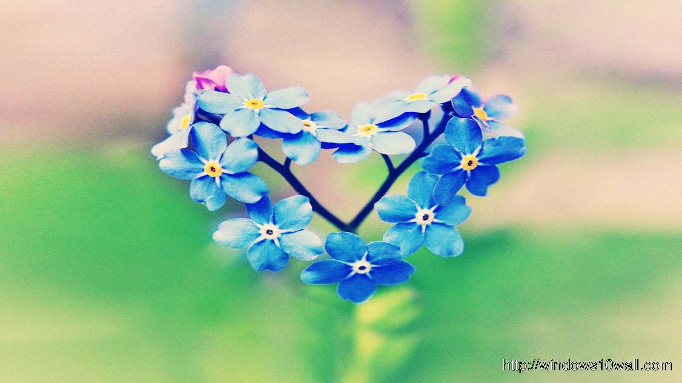 HD Blue Flower Heart Love Facebook Background Cover