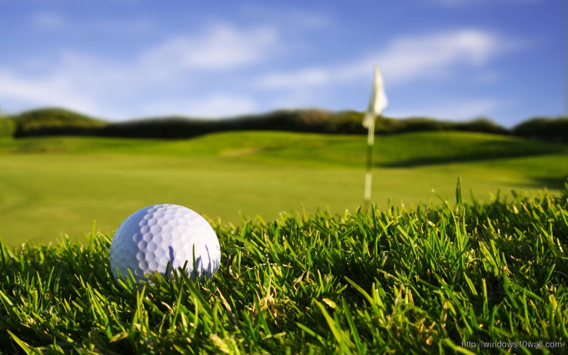 Closeup Golf Ball Over The Golf Course Background Wallpaper