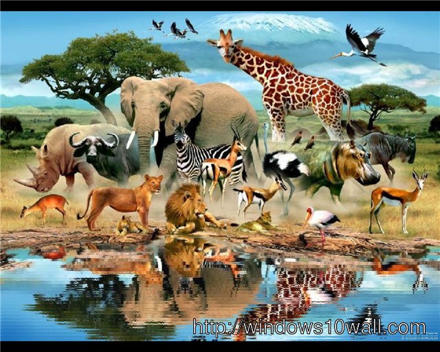 Free Animated Animals Wallpaper Download
