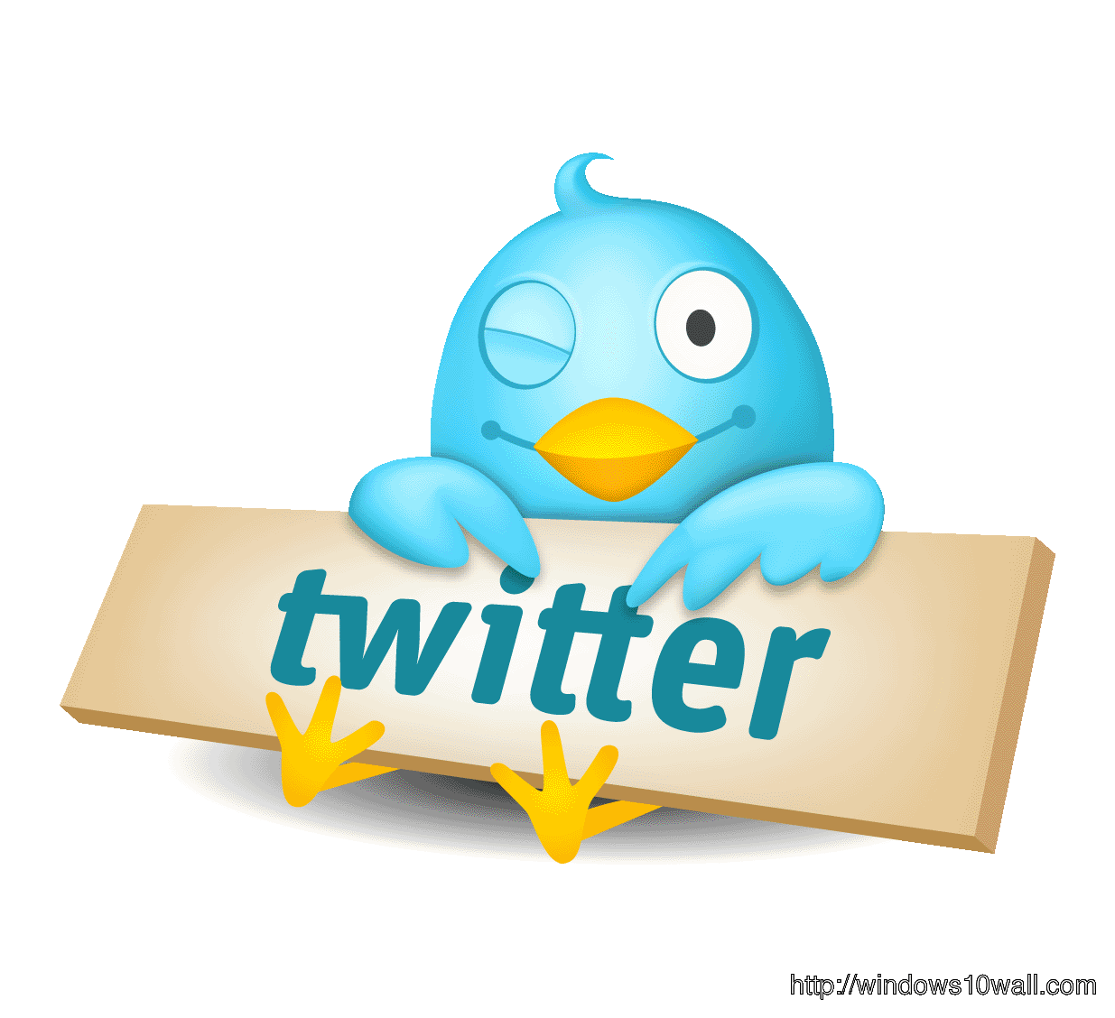 Twitter Bird Background Logo