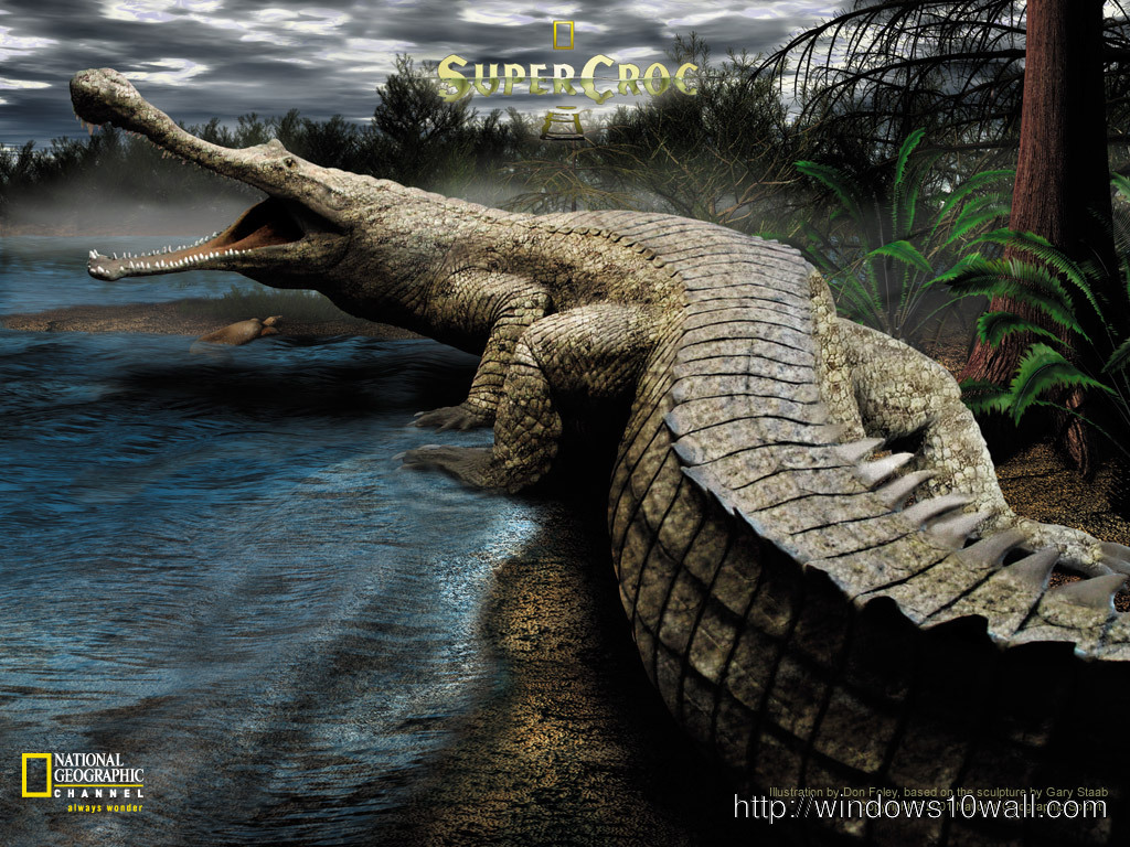 3d Crocodile Background Wallpaper