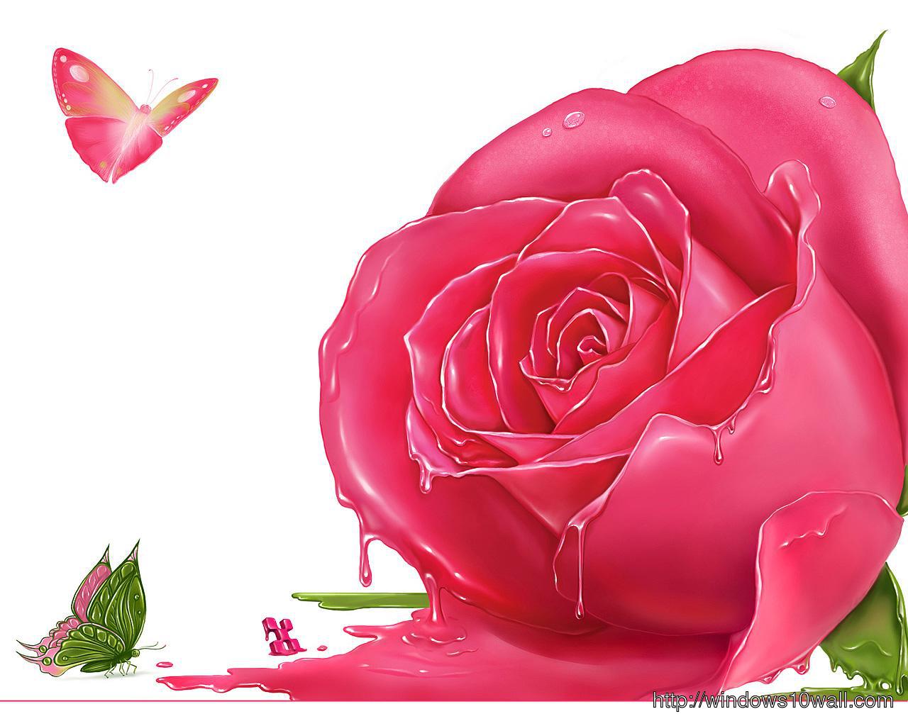 Pink Rose Flower Background