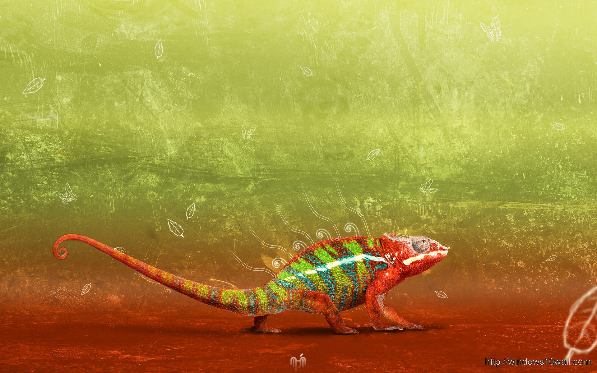 Chameleon Background Wallpaper