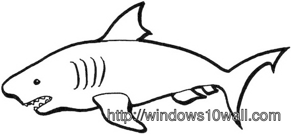 Shark Coloring Page for Kids Wallpaper