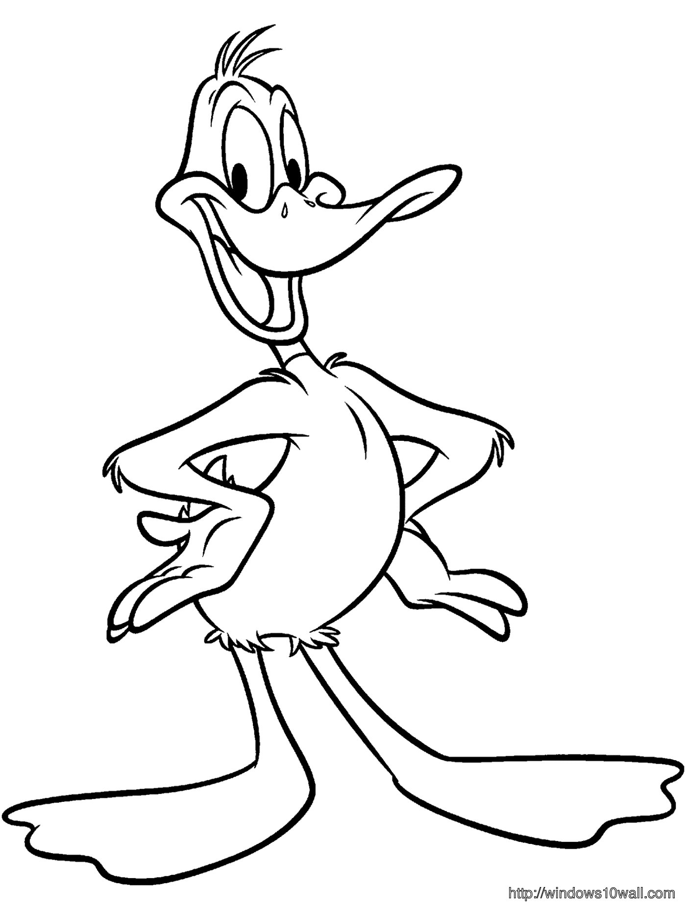 Daffy duck Coloring Page for Kids Wallpaper