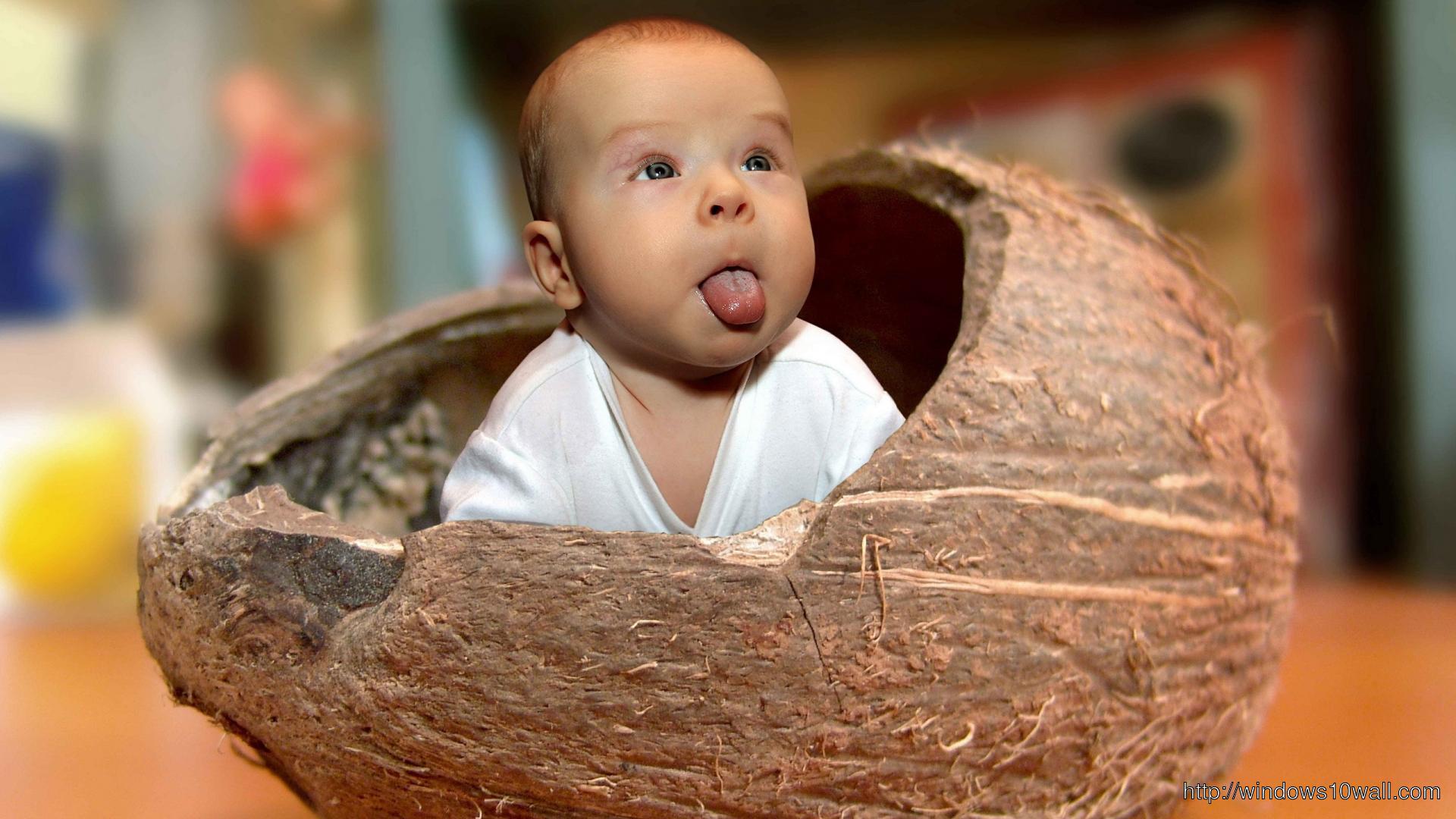 Funny Coconut Baby Picture