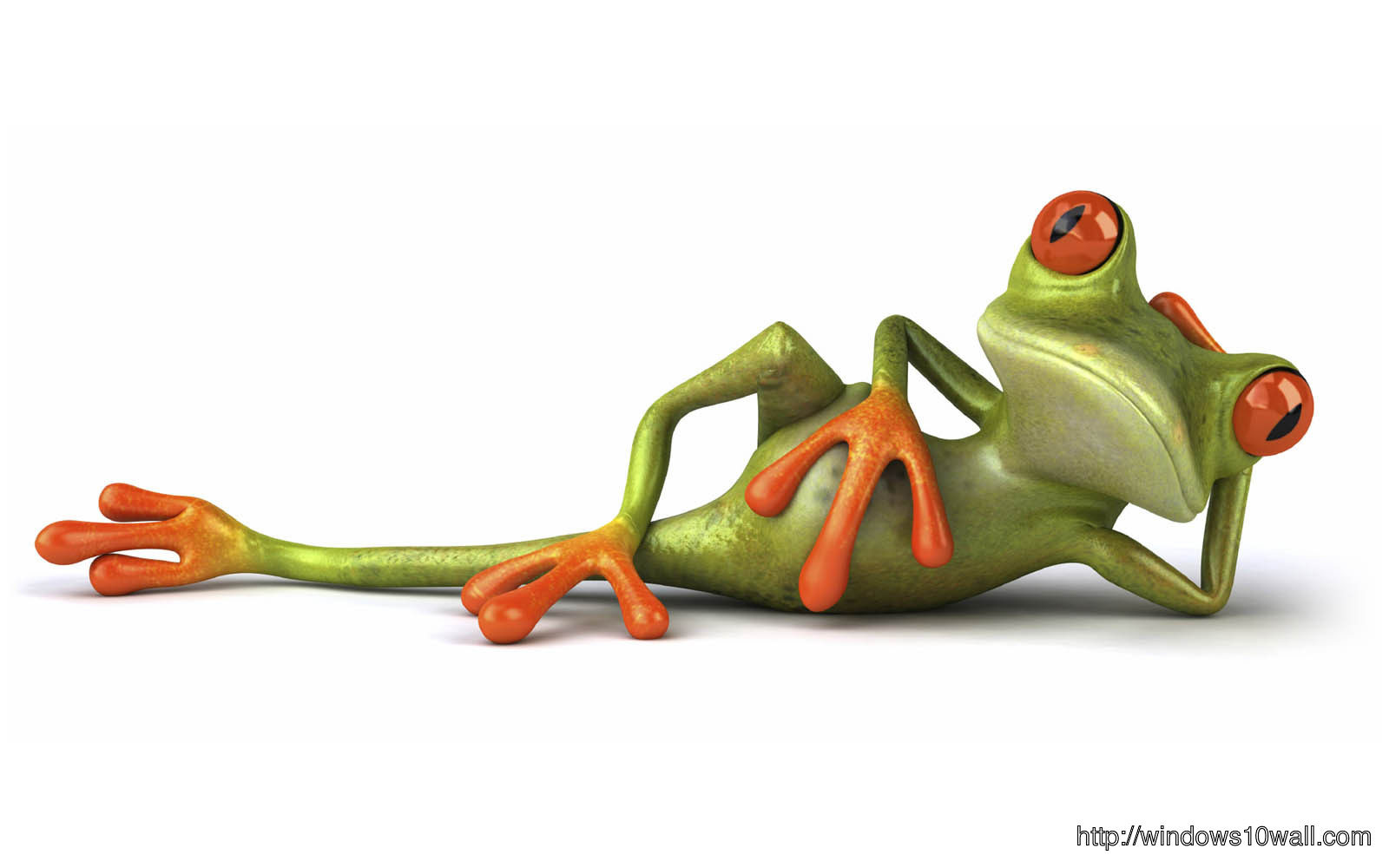Lazy Funny Frog Background Wallpaper