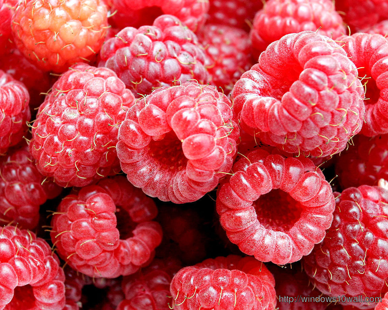 Raspberry Fruit Background Wallpaper